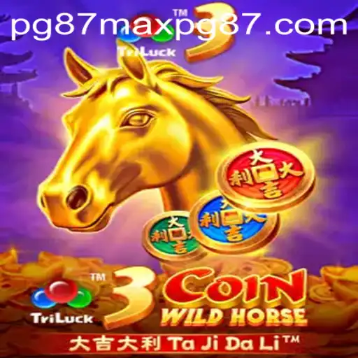 pg87max PH Login Privacy Policy